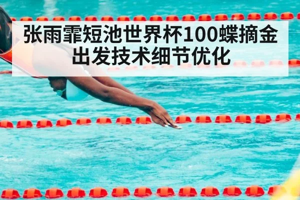 张雨霏短池世界杯100蝶摘金 出发技术细节优化